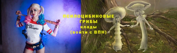 индика Абаза