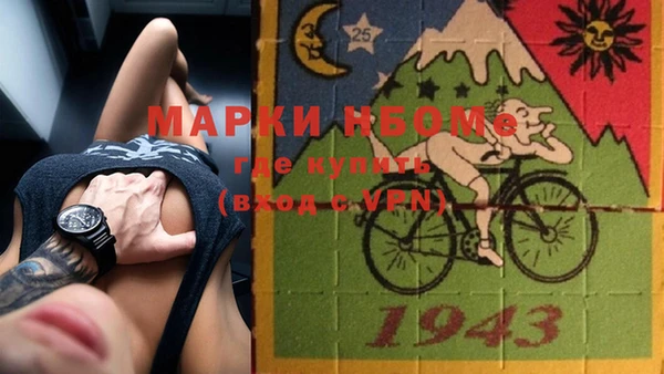индика Абаза