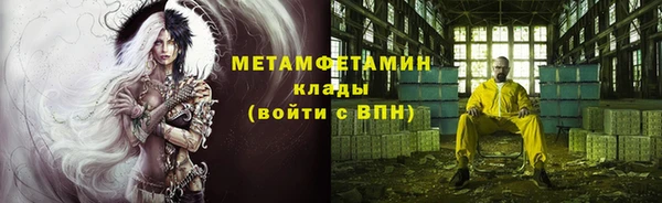 индика Абаза