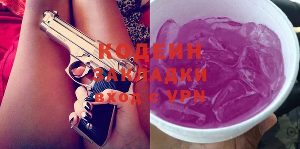индика Абаза