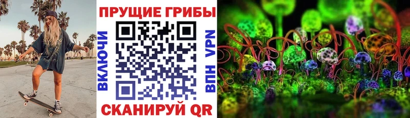 Галлюциногенные грибы MAGIC MUSHROOMS  дарк нет наркотические препараты  Чебаркуль 